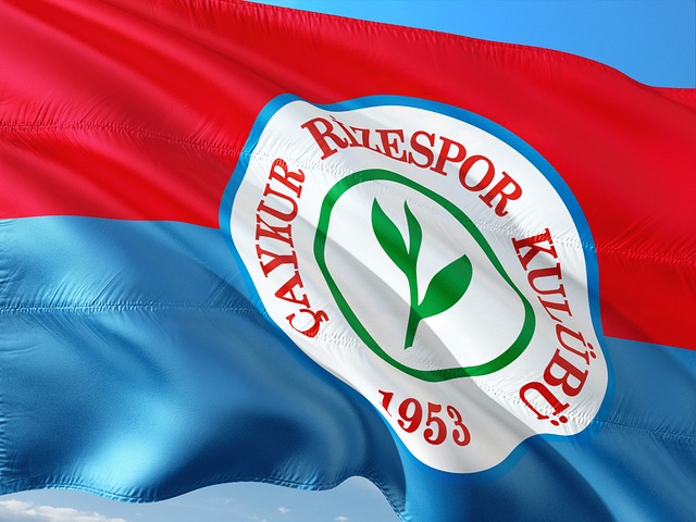 NBA战报：福克斯31分，马刺114-112险胜魔术